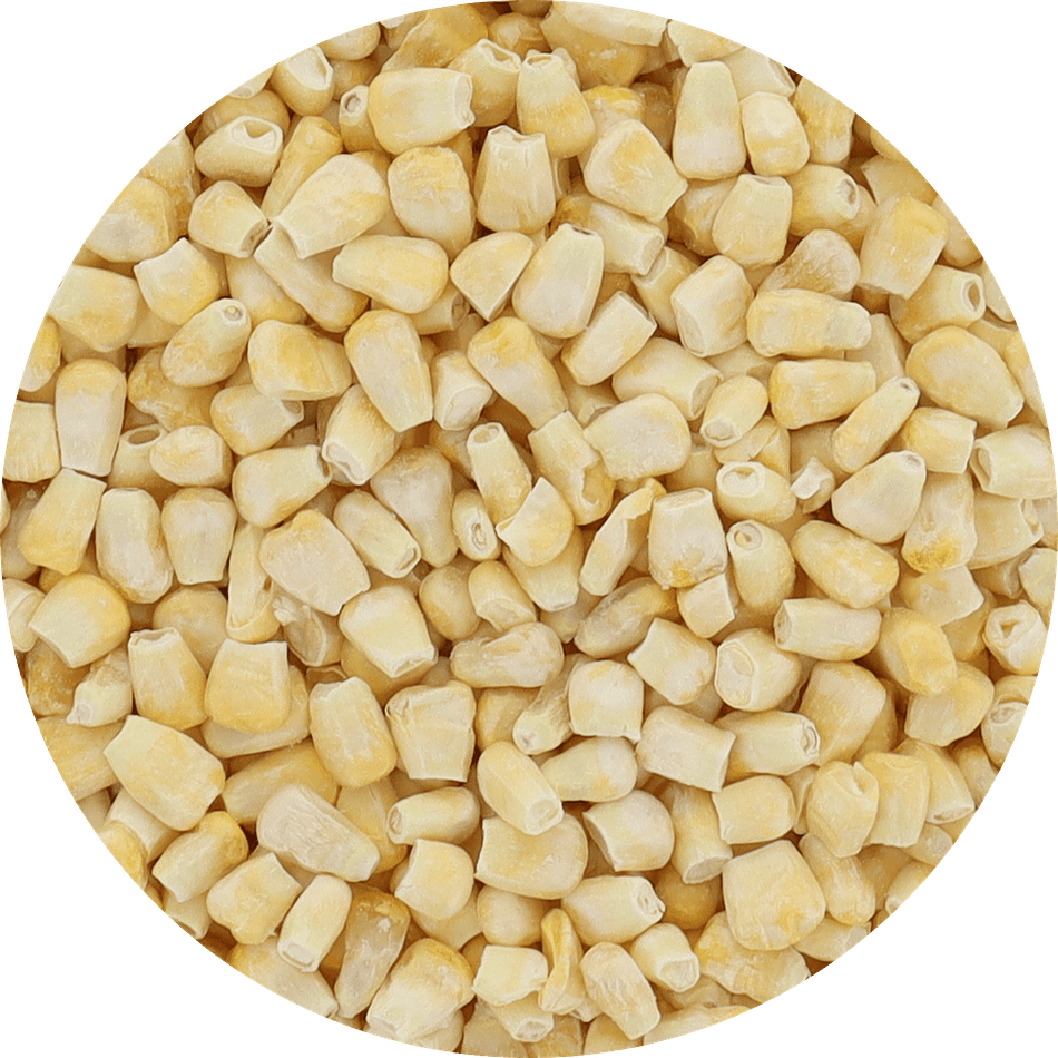 Freeze-Dried Yellow Corn, Sweet, Crisp, Single-Ingredient Snack, Bulk Bag (32 oz)