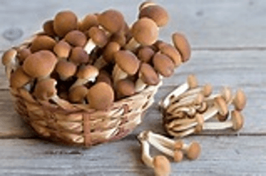 Pioppino Mushrooms