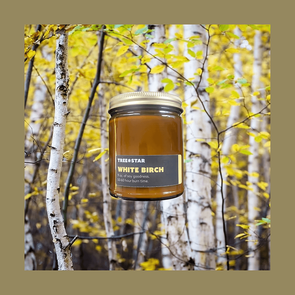 White Birch Soy Candle, Birchwood & Eucalyptus, Clean Forest Scent, Single-Wick Jar Candle, 1 Count