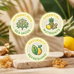 Pineapple Lemonade Ginger Sea Moss Shot-6