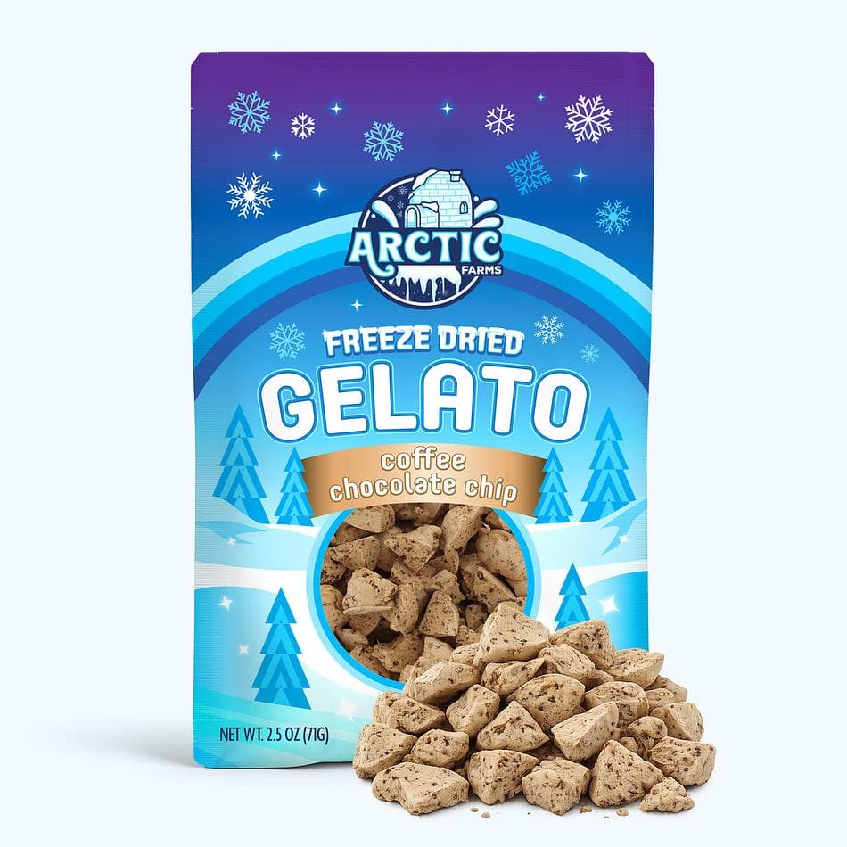 Freeze-Dried Gelato Bites, Coffee Chocolate Chip, No-Melt Dessert Snack, Large Resealable Bag (2.5 oz)