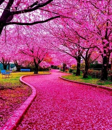 21 Days (and Beyond) REBOOT 