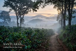 Santuario Coffee