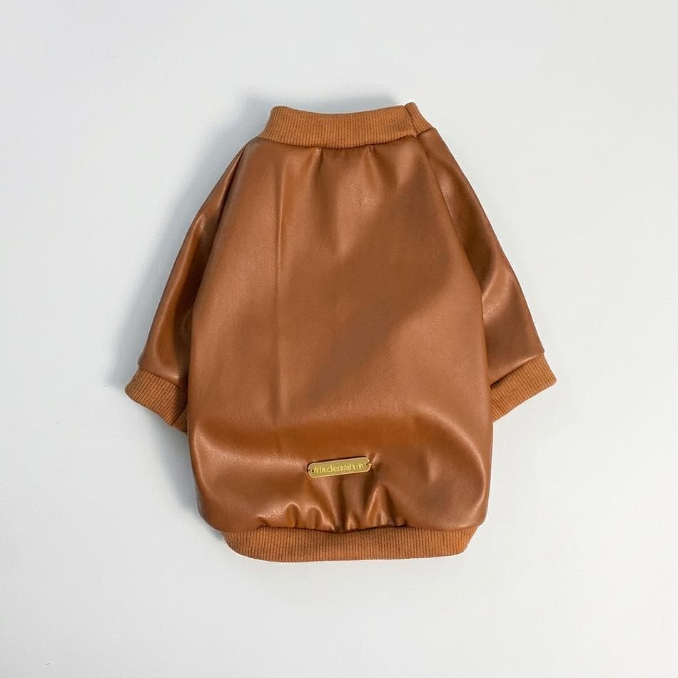 Dog Raglan Shirt, Faux Leather, Cozy Fall Layer, Pullover Top, Sizes 2XS–XXL