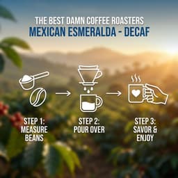 The Best Damn Coffee - Mexican Esmeralda - DECAF-6