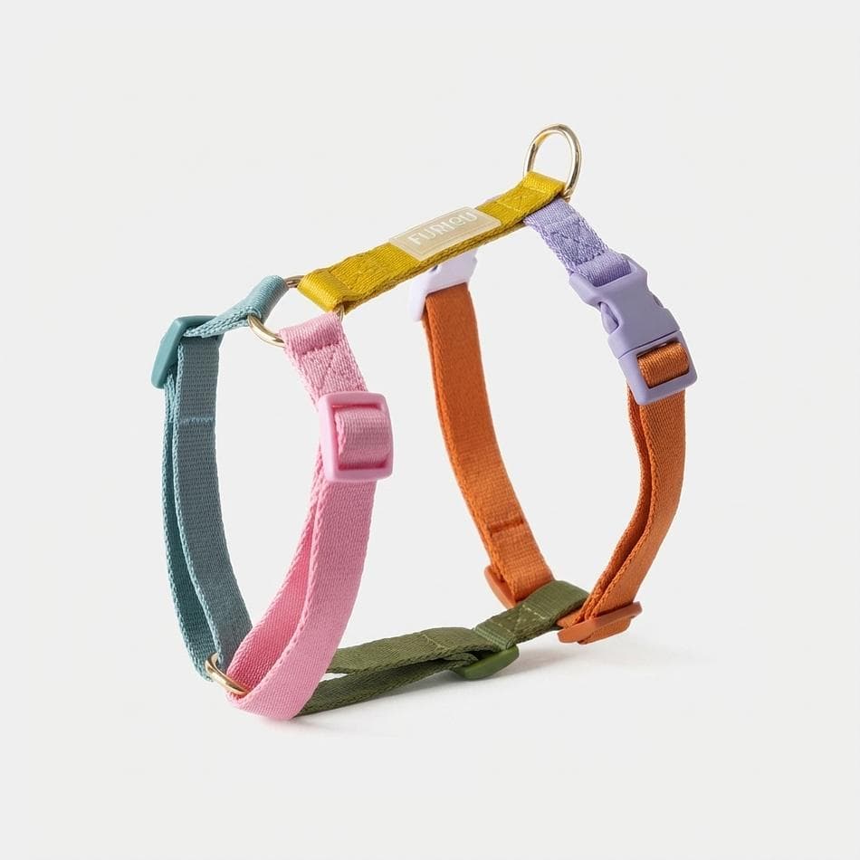 Adjustable Dog Harness, High-Density Polyester, 5-Point Fit, Lightweight Comfort, Gold Hardware, Rainbow, Sizes XS-L