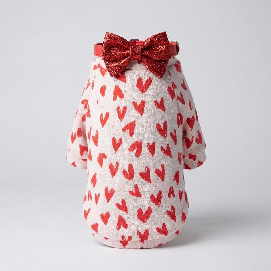 Dog Raglan Sweater, Cotton-Poly-Spandex Jacquard Knit, Heart Print, Cozy Warmth, Long Sleeve, Sizes XXS–XXL