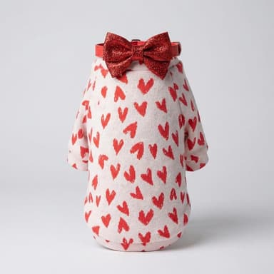 Dog Raglan Sweater, Cotton-Poly-Spandex Jacquard Knit, Heart Print, Cozy Warmth, Long Sleeve, Sizes XXS–XXL