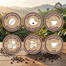 The Best Damn Coffee - Ethiopian Guji - 5 Pounds-5