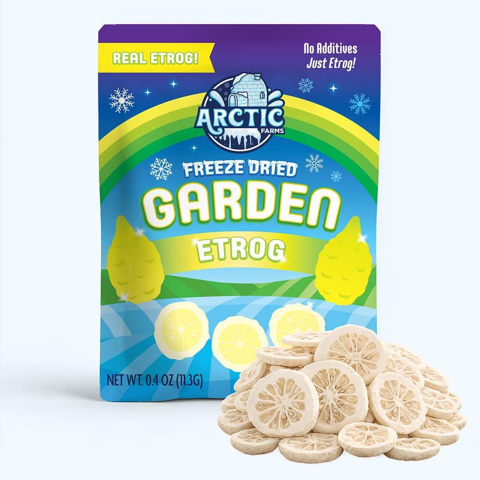 Freeze-Dried Etrog Slices (Peeled), 100% Fruit, Floral Citrus Crunch, No Sugar Added, Pack of 3 Resealable Bags (0.4 oz each)