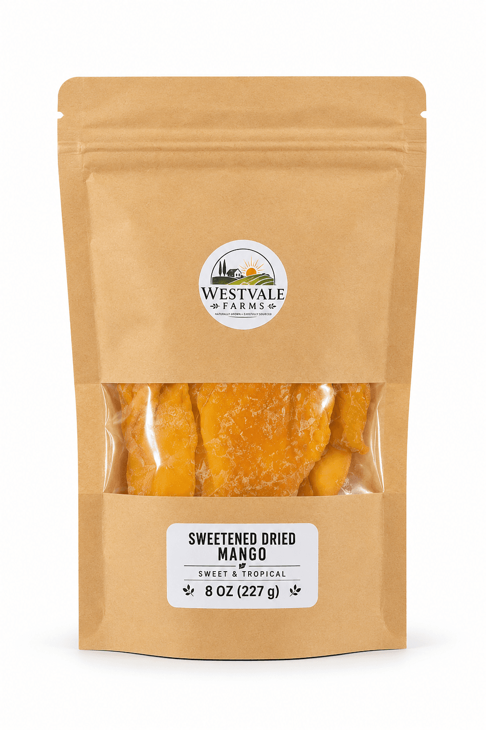 Sweetened Dried Mango Slices, Mango & Cane Sugar, Soft Chewy Snack, Product of Sri Lanka, 4 oz
