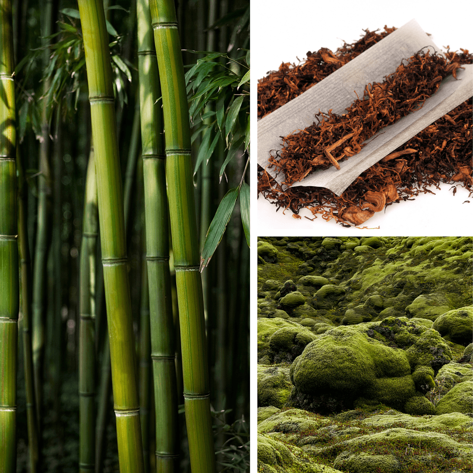 THE YACHTSMAN | 6fl oz. Reed Diffuser | Bamboo. Dark Moss. Tobacco.