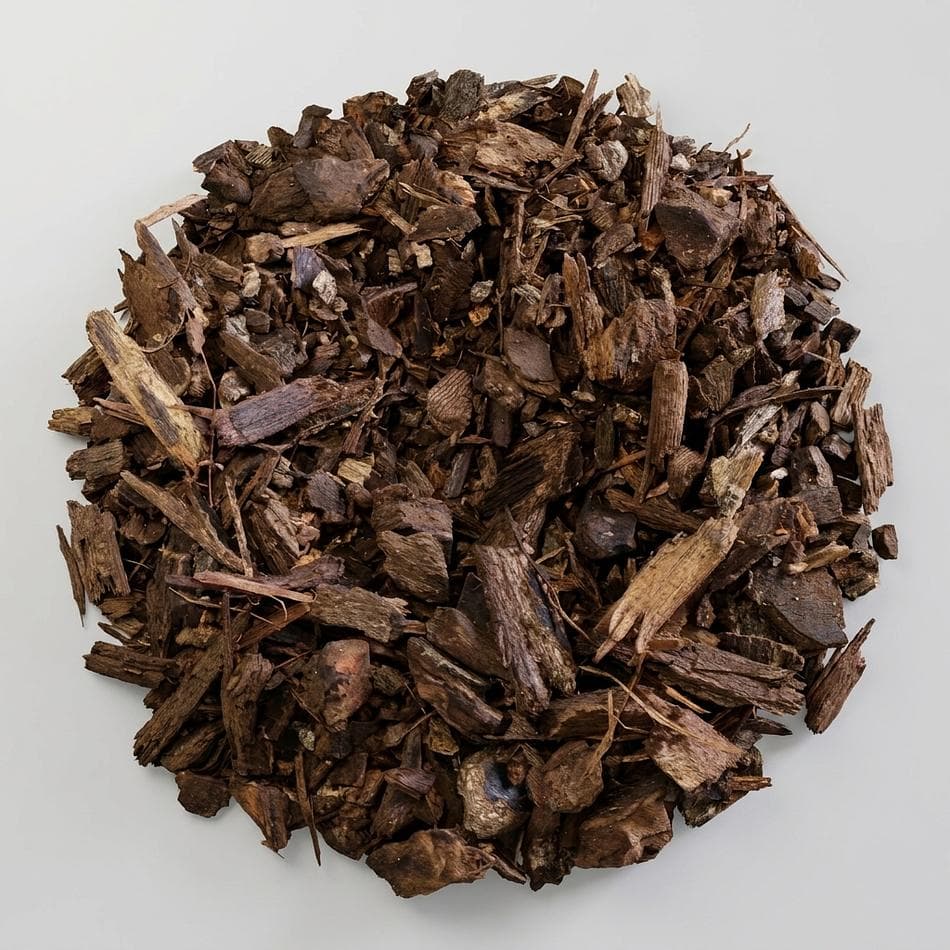Butternut Bark (Juglans cinerea), White Walnut, Gentle Laxative Herb, Loose Dried Bark, 1 oz