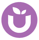 Ube Superfood