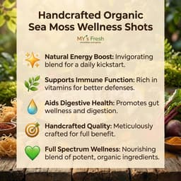 Organic Sea Moss Wellness Shots Sampler (12 × 2oz) | Ginger, Turmeric, Beet + Turmeric-Ginger | Refrigerated-4