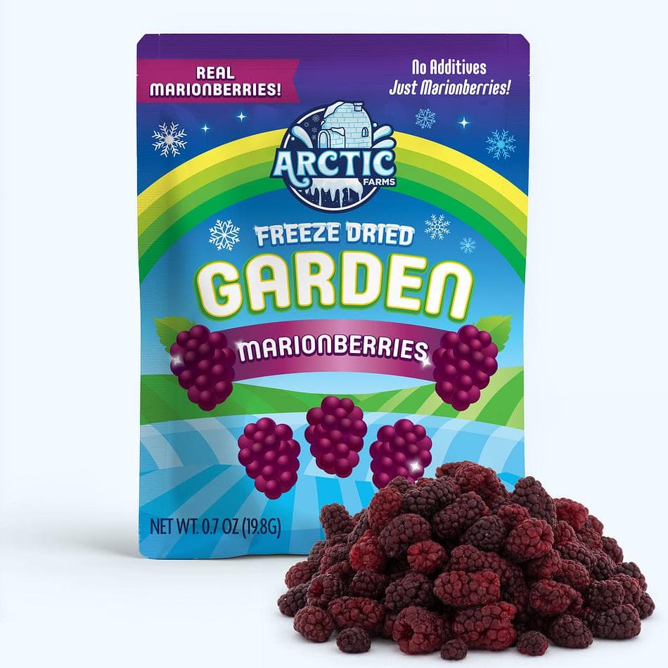 Freeze-Dried Marionberries, Deep, Jammy, Pacific Northwest Berry Flavor, Resealable Bag (0.7 oz)