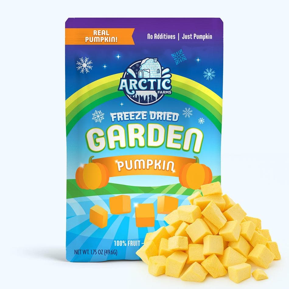 Freeze-Dried Pumpkin Pieces, Smooth, Earthy & Naturally Sweet Real Veggie Snack, Large Resealable Bag (1.2 oz)