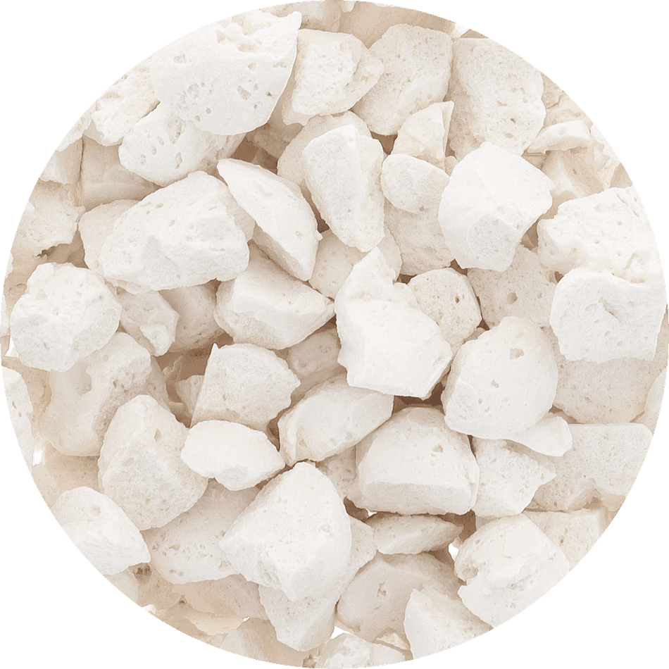 Freeze-Dried Coconut Sorbet Bites, Organic Coconut Cream, Shelf-Stable No-Melt Dessert Snack, Large Resealable Bag (2.5 oz)