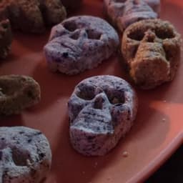 Roscoe & Stella’s Grain-Free Fruit Treats-7