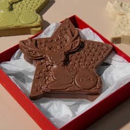 Casholate Raphi the Reindeer-1