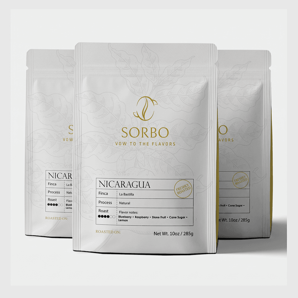 Single Origin Coffee Beans, Nicaragua La Bastilla, Natural Process, Blueberry & Raspberry, Medium Roast, 10 oz Bag