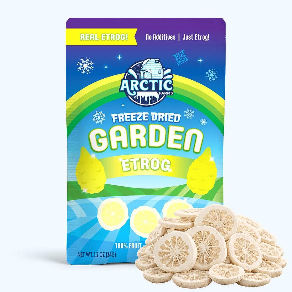 Freeze-Dried Etrog Slices (Peeled), 100% Fruit, Floral Citrus Crunch, No Sugar Added, Large Resealable Bag (1.2 oz)