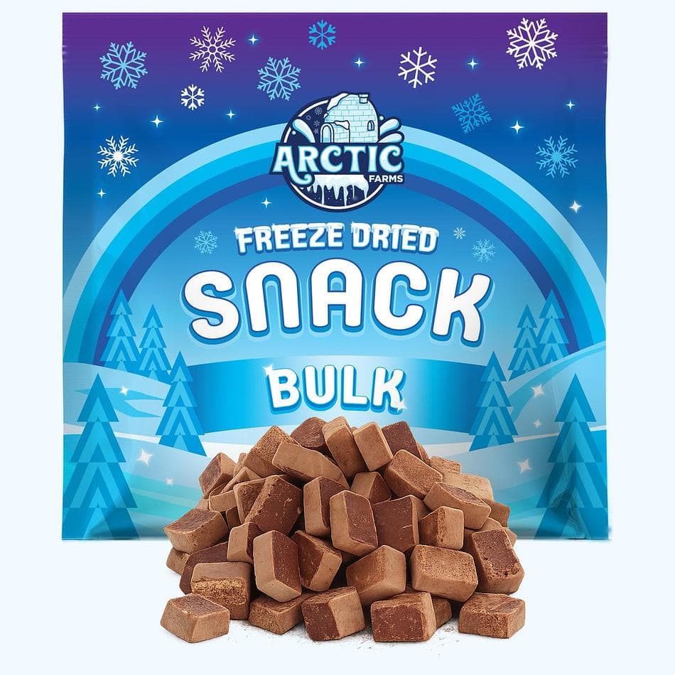Freeze-Dried Organic Semi-Sweet Chocolate Chips, Cacao & Coconut Sugar, Crunchy Melt-In-Your-Mouth Snack, 45% Cacao, Bulk Bag (26 oz)