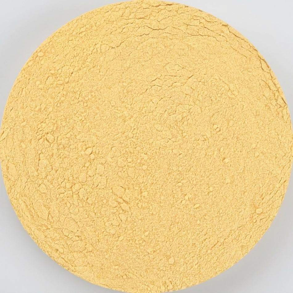 Freeze-Dried Jackfruit Powder, 100% Real Jackfruit, Naturally Sweet Tropical Flavor, Smoothie & Baking Mix-In, 3.5 oz Pouch