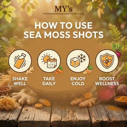 Organic Sea Moss Wellness Shots Sampler (12 × 2oz) | Ginger, Turmeric, Beet + Turmeric-Ginger | Refrigerated-3