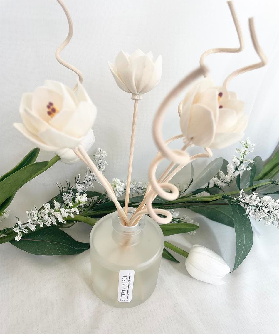 TERRA VERDE | 6fl oz. Reed Diffuser | Aloe. Green Leaves. Patchouli.