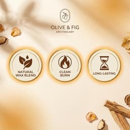 Olive & Fig Apothecary Ember Bean scented 2-wick 11 oz candle-4