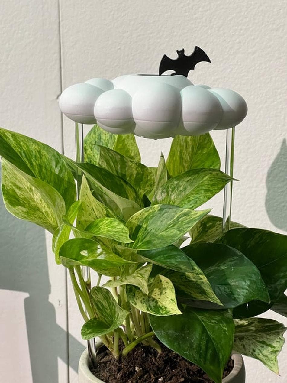 Interchangeable Bat Charm, PLA 3D Printed Add-On, Dripping Rain Cloud Plant Waterer Accessory, 1-Piece