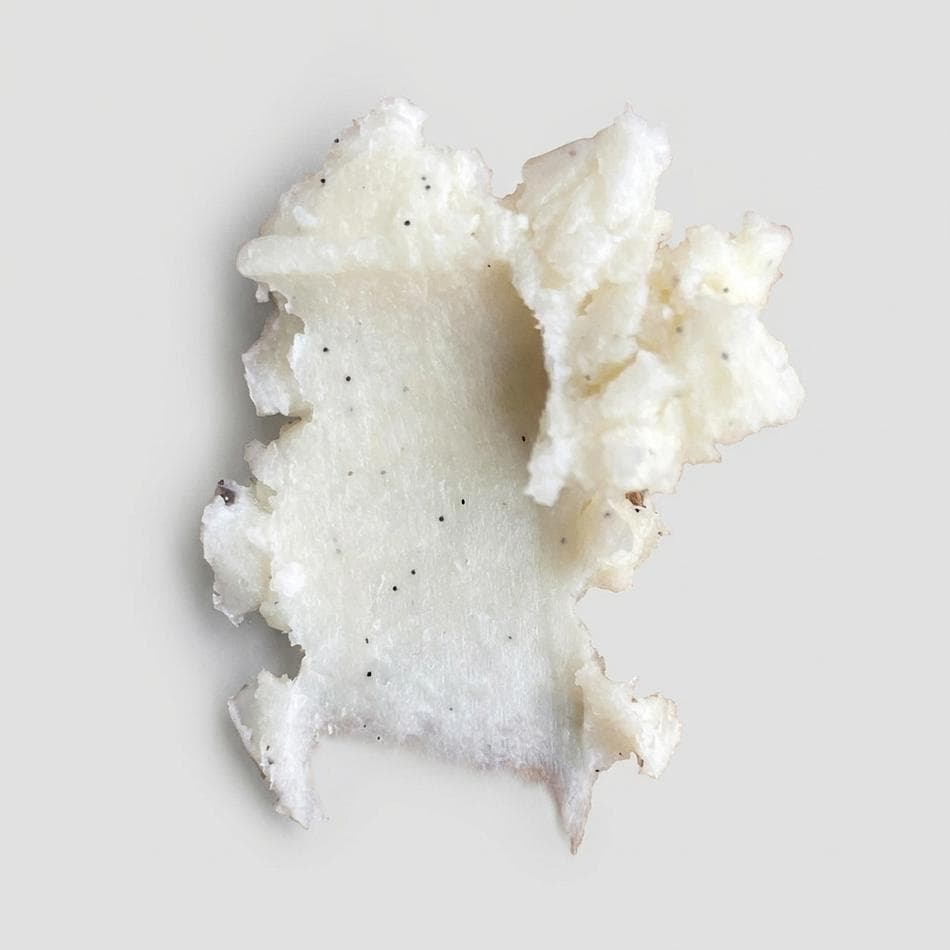 Whipped Vanilla Bean Body Butter Wild Beans, Mango & Shea Butter + Almond & Jojoba Oils, Deep Hydration, 1 Jar