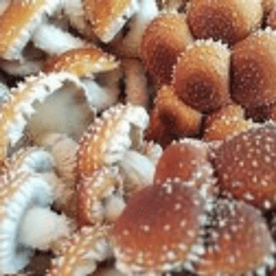 Chestnut Mushrooms