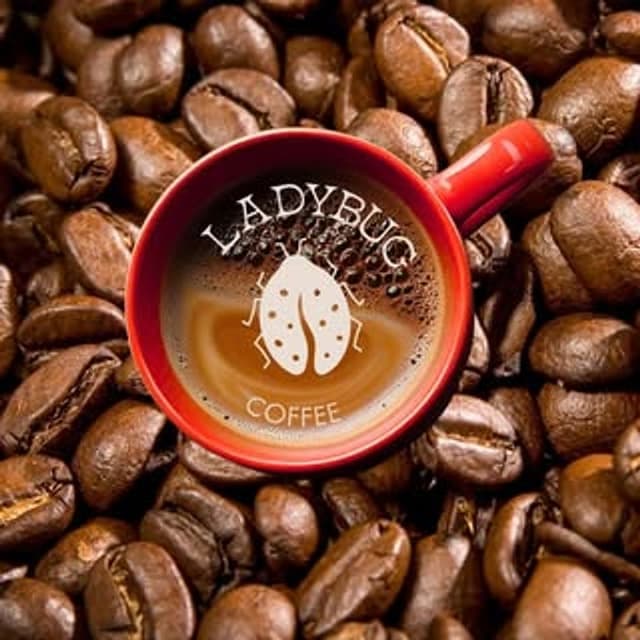 Ladybug Coffee