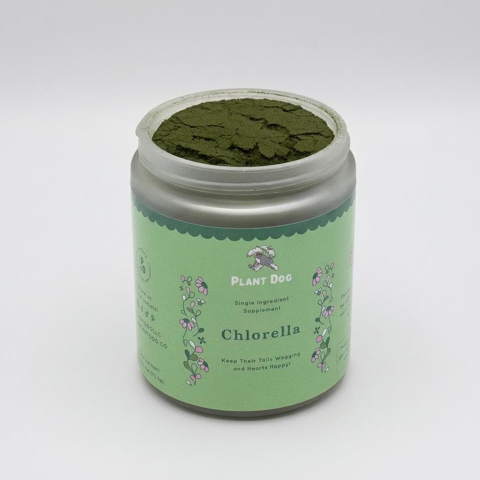 Organic Chlorella Powder for Dogs, Cracked Cell Wall Algae Meal Topper, Immune & Inflammation Support, 4 oz