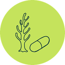 Adaptogens