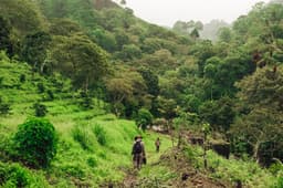 Honduras Finca La Unica, Red Honey - Light Roast-2