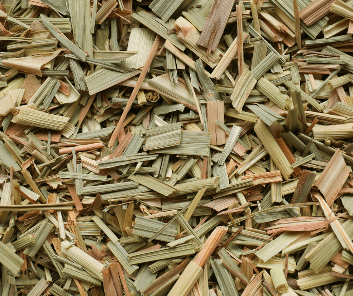 Dried Lemongrass Herb (Cymbopogon citratus), Citrus Aroma, Digestive Support Tea Herb, 1 oz Loose Cut