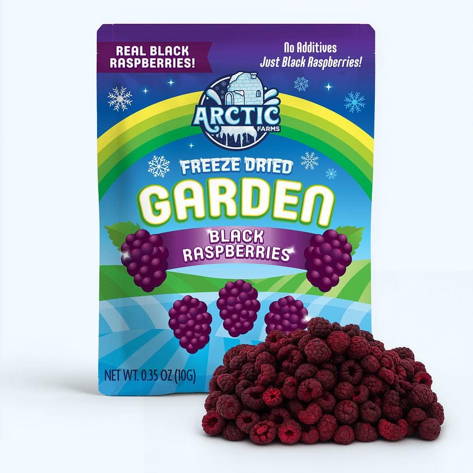Freeze-Dried Black Raspberry, Premium Whole Berry Snack, Pack of 3 Resealable Bags (0.6 oz each)
