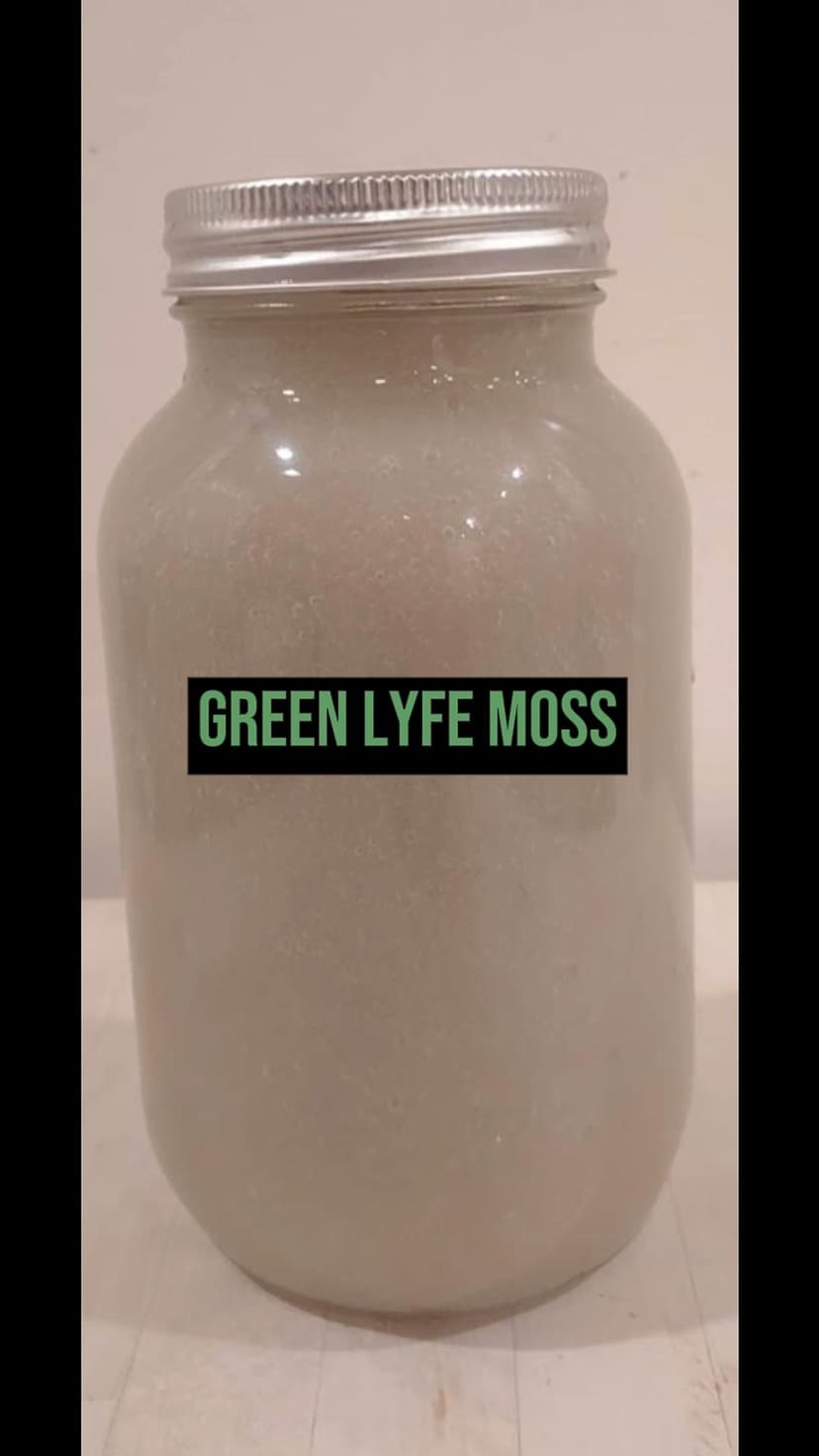 GREEN LYFE MOSS - Image 1