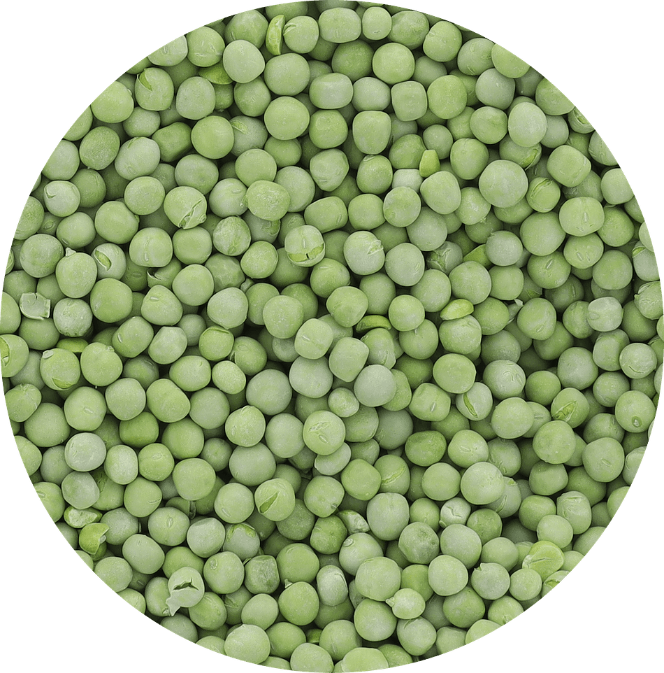 Freeze-Dried Peas, Naturally Sweet, Whole-Vegetable Snack, Bulk Bag (30 oz)