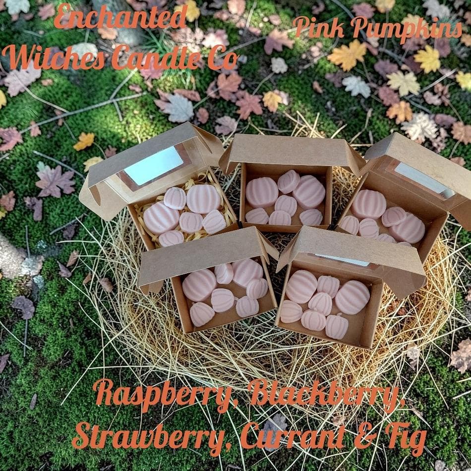 Pink Pumpkins Wax Melts