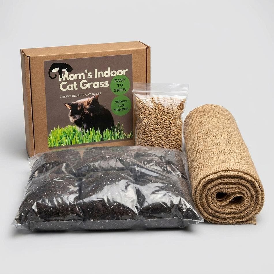 Cat Grass Tray Refill Kit, Organic Rye Barley Oat Blend, Digestion & Hairball Support, Fits 10x10 Tray, 1 Pack