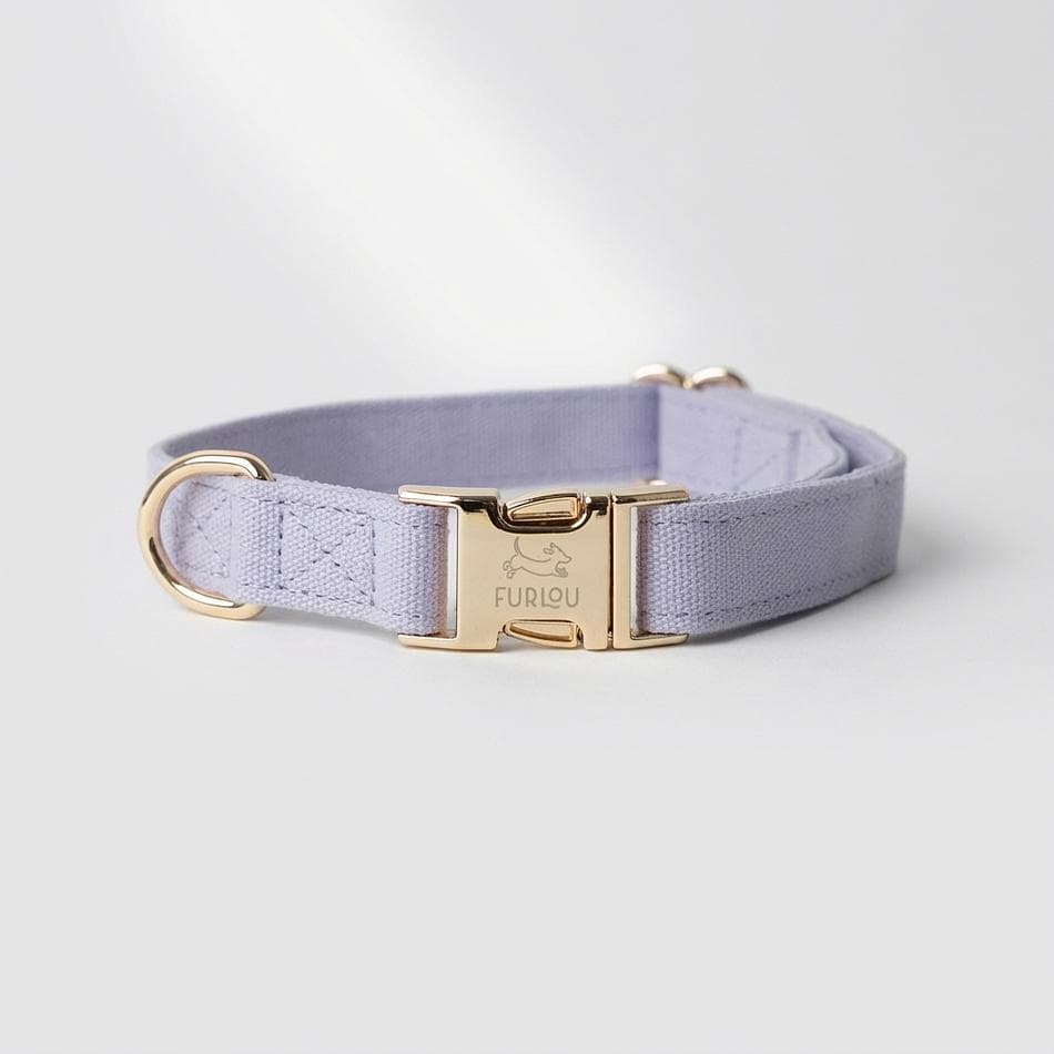 Cotton Canvas Dog Collar, Lavender, Gold Hardware, Lightweight Everyday Comfort, Adjustable (Sizes S–L)