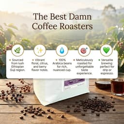 The Best Damn Coffee - Ethiopian Guji - 5 Pounds-4