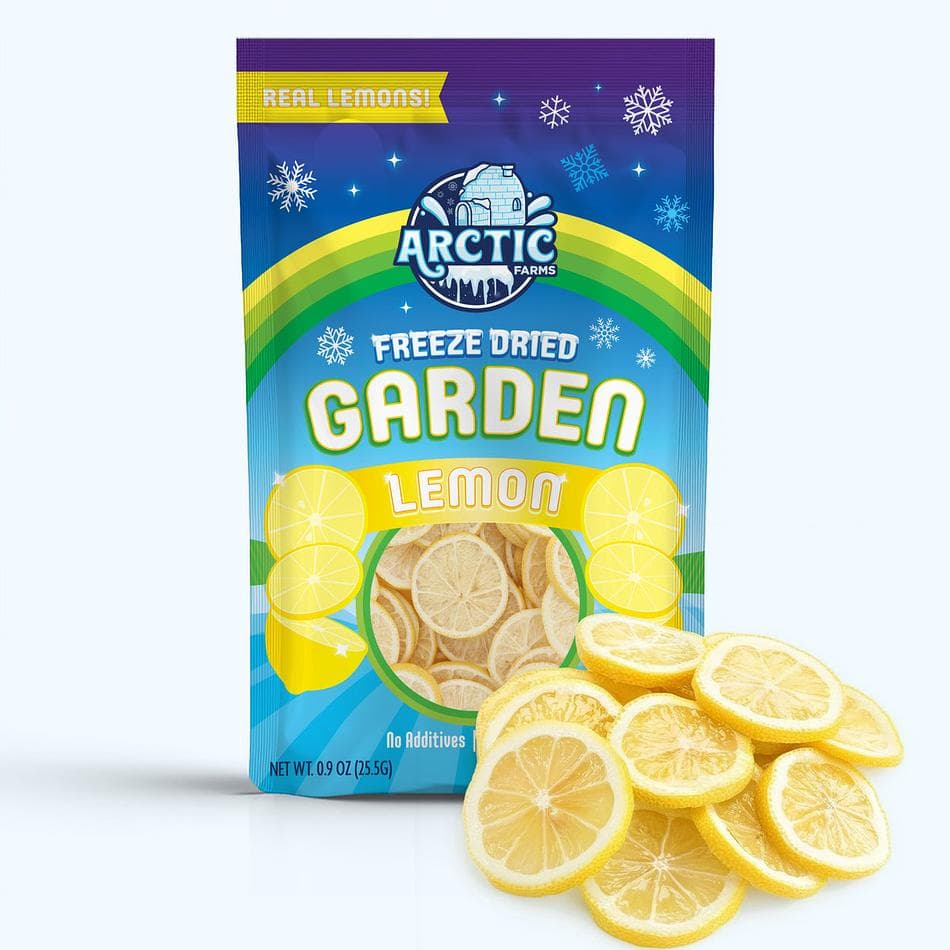 Freeze-Dried Lemon Slices, Bright, Tangy, Naturally Refreshing Citrus Crunch, Large Resealable Bag (0.9 oz)