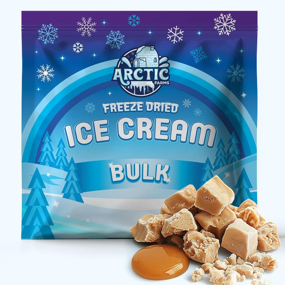 Freeze-Dried Ice Cream Bits, Salted Caramel, No-Melt Crunchy Snack, Shelf-Stable, Bulk Bag (1 lb)
