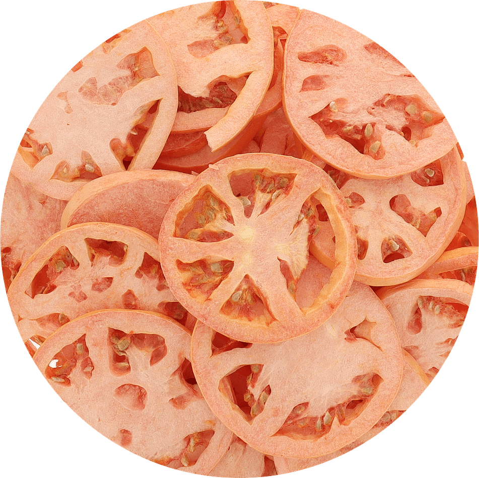 Freeze-Dried Large Tomato Slices, Pure, Savory Snack & Ingredient, Bulk Bag (3 oz)
