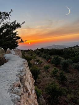 Jerusalem Olive Co